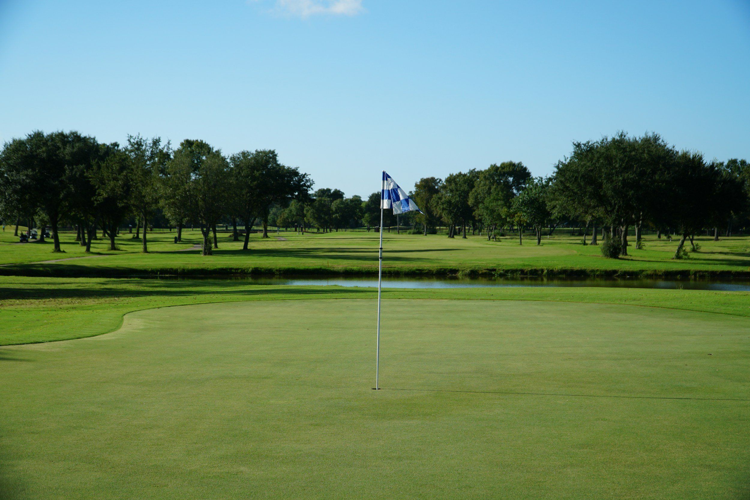 Southwest Florida championship golf course with golfers playing palm trees